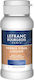 Lefranc Bourgeois Poloneză de Pictură 120ml 1buc