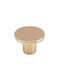 Viefe Buton Mobilier din Metal în Culoare Auriu Φ26mm 0168026Z07 1buc
