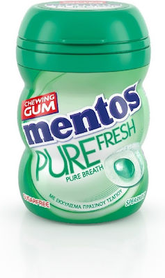 Mentos PURE FRESH 15Stück 18gr