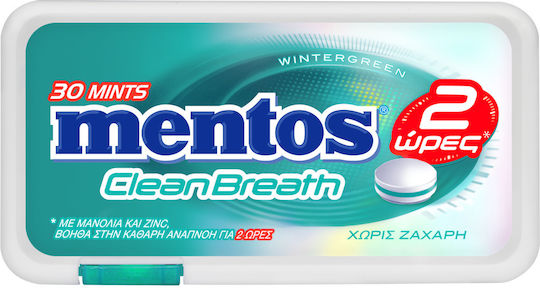 Mentos Candies WINTERGREEN 12pcs 21gr