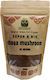 Green Bay Bio Chaga σε Σκόνη 100gr