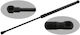 SWAG Trunk Shock for Seat Leon