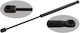 SWAG Trunk Shock for Volkswagen Eos Nissan Micra