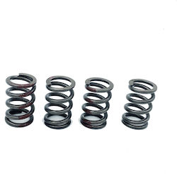 Sck Racing Clutch Spring