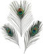 Knorr Prandell Craft Feathers Set of 3pcs