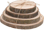 Koopman Tree Trunk 4pcs