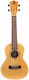 Bumblebee Ukuleles Concert Γιουκαλίλι