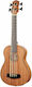 Cascha Bass Ukulele