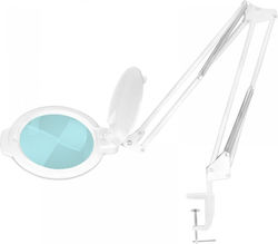Activeshop Light Solution LED
