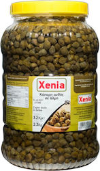 Xenia Κάπαρη 2300gr