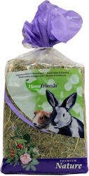 Homefriends Χόρτα για Τρωκτικά 500gr Homefriends Χόρτα για Τρωκτικά 500gr