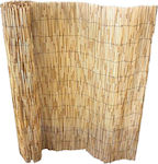 Bamboo Fencing