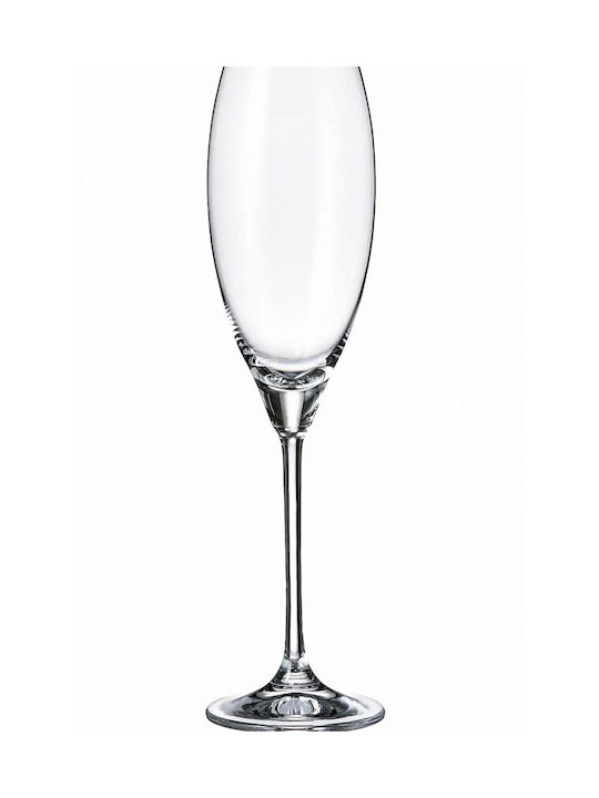 Novaker Crystal Wedding Champagne Glass Τransparent