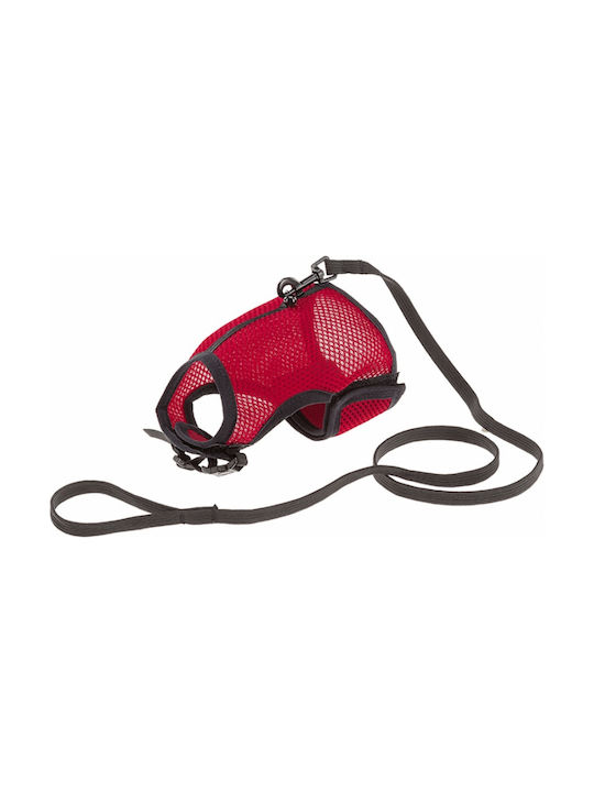 Ferplast JOGGING Cat Harness with Guide Red 10mm x - 5cmcm