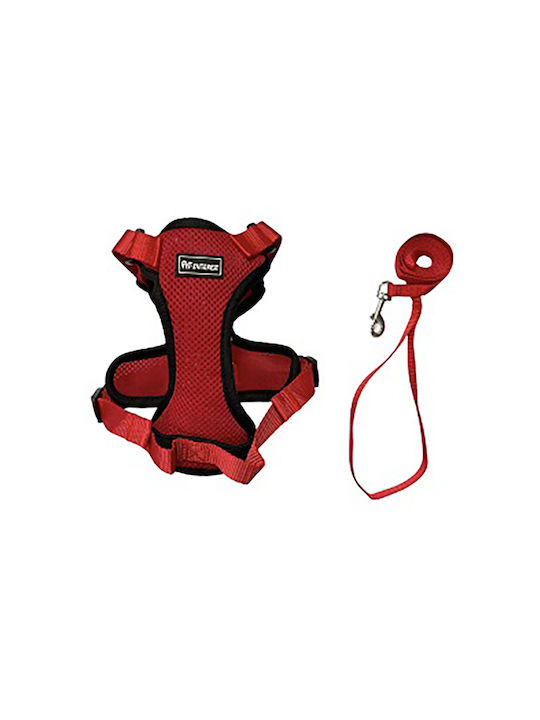 Pet Interest Katzenleine mit Anleitung Rot 30270