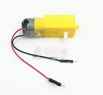 Haitronic DC 12V Motor (HS1460)