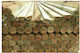 Ecoshadow Wood Timber for Garden Flooring 6x6cm