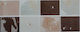 Wall Interior Gloss Ceramic Tile 20x8cm White
