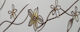 Wall Interior Gloss Ceramic Tile 20x8cm White