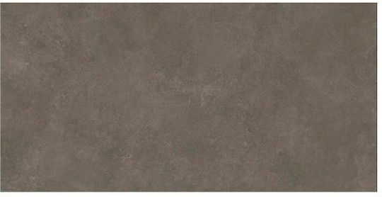 Practika Ceramica Placă Perete Bucătărie / Baie Ceramic Mat 50x25cm Bej