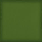 La Fenice Kitchen Wall / Bathroom Matte Ceramic Tile 20x20cm Green