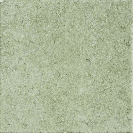 Ricchetti Ceramiche Πλακάκι Δαπέδου / Τοίχου Εξωτερικού Χώρου Πορσελανάτο Ματ 20x20cm Πράσινο