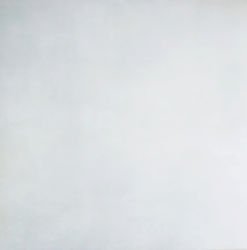 Importiles Fliese Boden Innenbereich 60x60cm Weiß