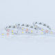 Eurolamp Ταινία LED Τροφοδοσίας 12V RGB Μήκους 5m Τύπου SMD5050