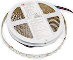 Adeleq LED Streifen Versorgung 24V RGB Länge 5m und 144 LED pro Meter SMD5050