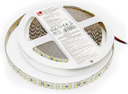 Adeleq Ταινία LED 24V Ψυχρό Λευκό 5m