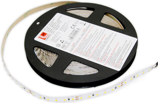 Adeleq LED Strip 24V Warm White Light 5m Type SMD2835