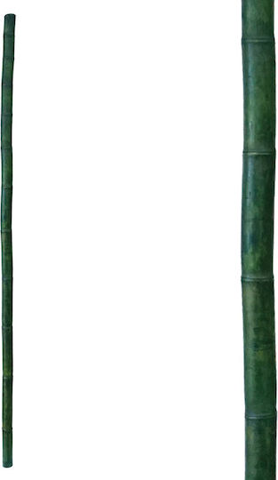 00233 Marhome