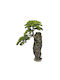 Marhome Gartendekorationen 04-23814