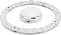 Bot Lighting LED Module Natural White 20W (MODB203B)