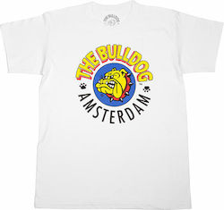 The Bulldog Amsterdam Weiß