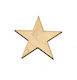 Woodseason Wooden Stars 1pcs