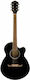 Fender Akustisch Gitarre Ausschnitt Schwarz