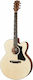 Gibson Akustisch Gitarre Ausschnitt Natürlich