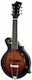 Gold Tone Acustic-Electric Mandolină cu Corp Plat