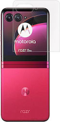 Motorola Displayschutzfolie