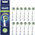 Oral-B Cross Action Elektrische Zahnbürstenköpfe für elektrische Zahnbürste 12Stück
