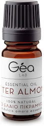 Think GAEA Αιθέριο Έλαιο Πικραμύγδαλο 10ml Think GAEA Αιθέριο Έλαιο Πικραμύγδαλο 10ml