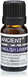 Ancient Wisdom Essential Oil Lavender 10ml