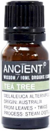 Ancient Wisdom Bio Ätherisches Öl Teebaum 10ml