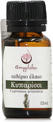 Amygdalea Essential Oil Cypress 12ml