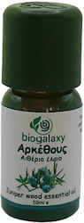 Biogalaxy Essential Oil Juniper 10ml Biogalaxy Essential Oil Juniper 10ml