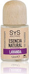 Laboratorio SyS Essential Oil Lavender 12ml