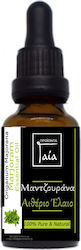 Gaia Products Αιθέριο Έλαιο Μαντζουράνα με Σταγονόμετρο 50ml Gaia Products Αιθέριο Έλαιο Μαντζουράνα με Σταγονόμετρο 50ml