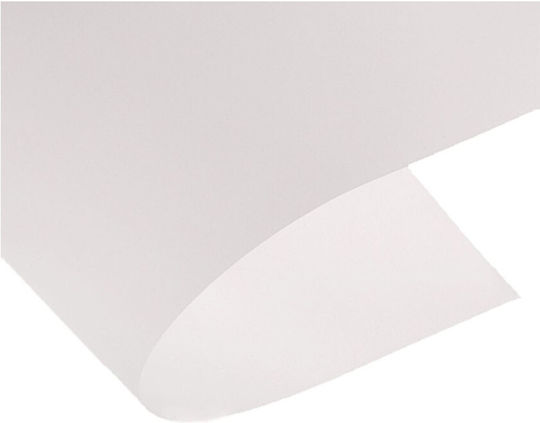 Canson Ριζόχαρτο Φύλλο 42gr 70εκ. x 1μ.