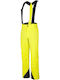 Ziener Telmo 184206-413 Pantaloni de schi și snowboard pentru bărbați Ski & Snowboard Verde